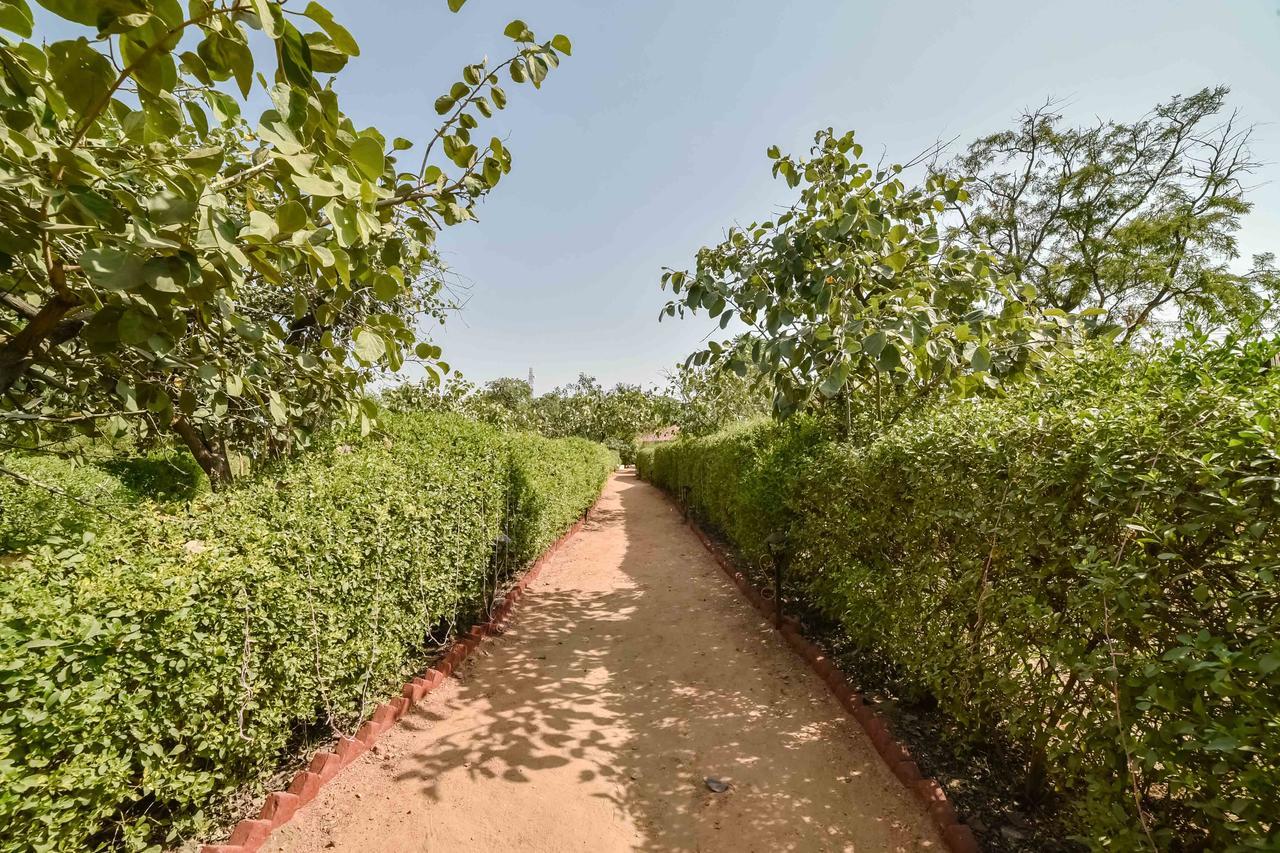Pushkar Rajwara Resort Εξωτερικό φωτογραφία